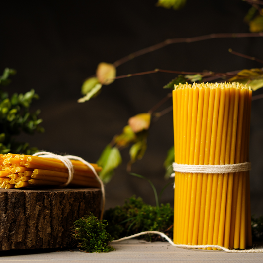 Two bundles of thin beeswax taper candles tied with twine on a rustic wood surface with moss and greenery.