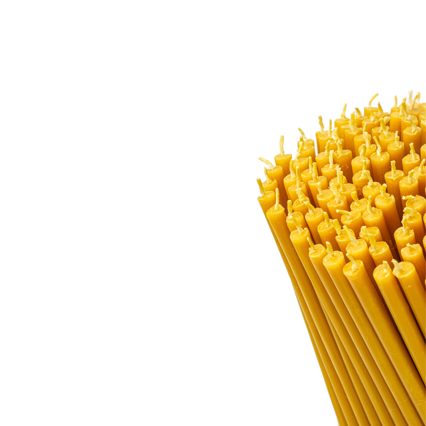 Close-up of yellow candles on a white background