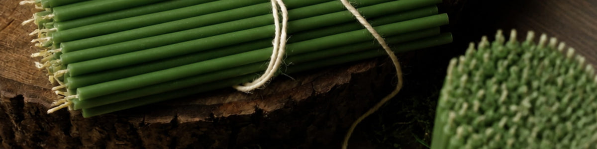 A bundle of Closterra green beeswax taper candles on wood with greenery