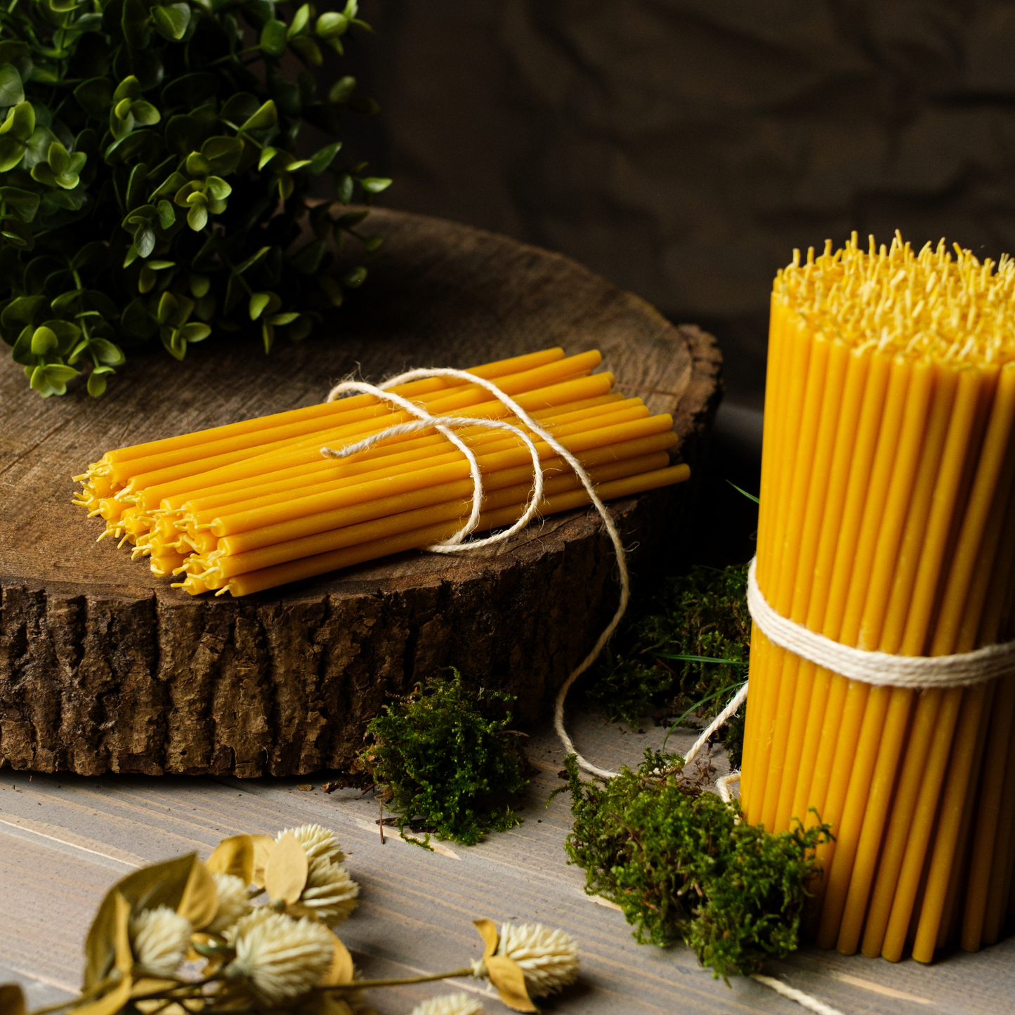 Two bundles of thin beeswax taper candles tied with twine on a rustic wooden surface with greenery.