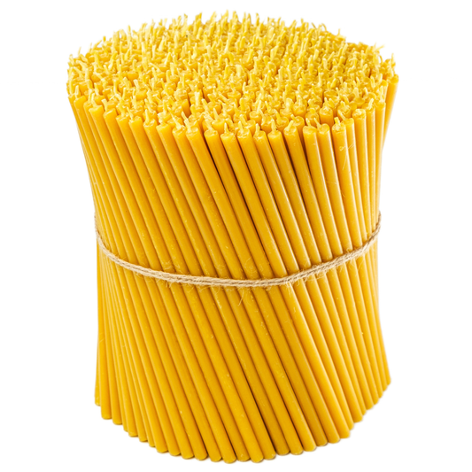 Large bundle of thin beeswax taper candles tied with twine on a white background.