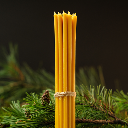 Bundle of thin beeswax taper candles tied with twine, resting on pine greenery against a dark background.