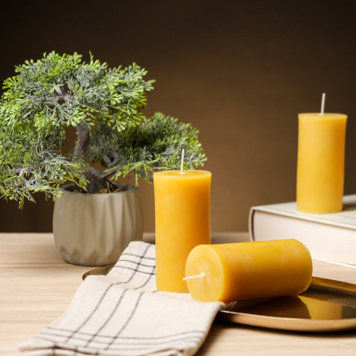 Natural beeswax pillar candles 2 by 4 inch, three candles with a bonsai and linen napkin