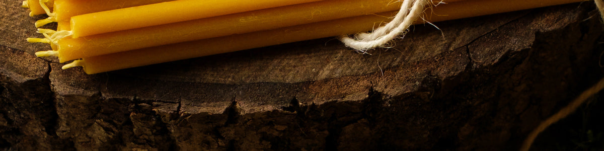 Closterra beeswax tapers on wood
