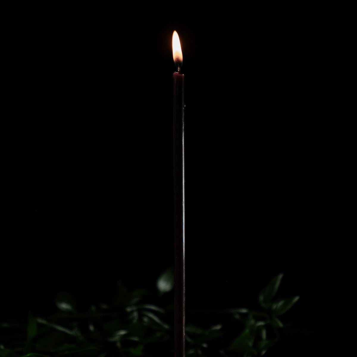 Black beeswax taper candles 7.3″, single lit taper on a dark background