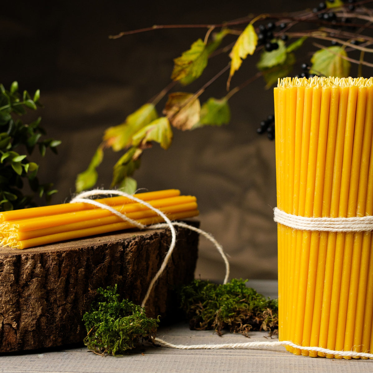 Natural yellow beeswax taper candles 10.4″, bundles on a wood stump tied with twine