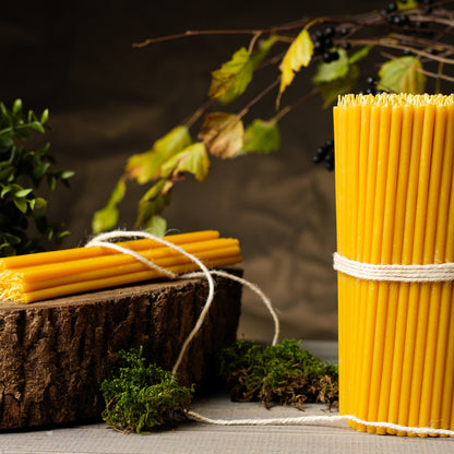 Natural yellow beeswax taper candles 10.4″, bundles on a wood stump tied with twine