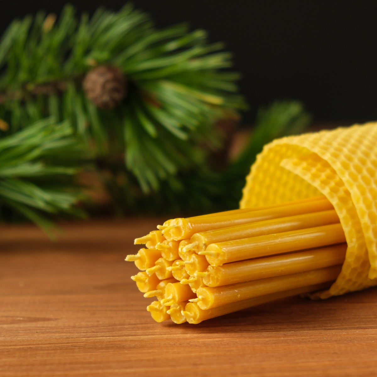 Natural yellow beeswax taper candles 6.5″, bundle wrapped in a honeycomb sheet with pine branches