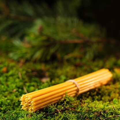 Natural yellow beeswax taper candles 7.3″, bundle on green moss