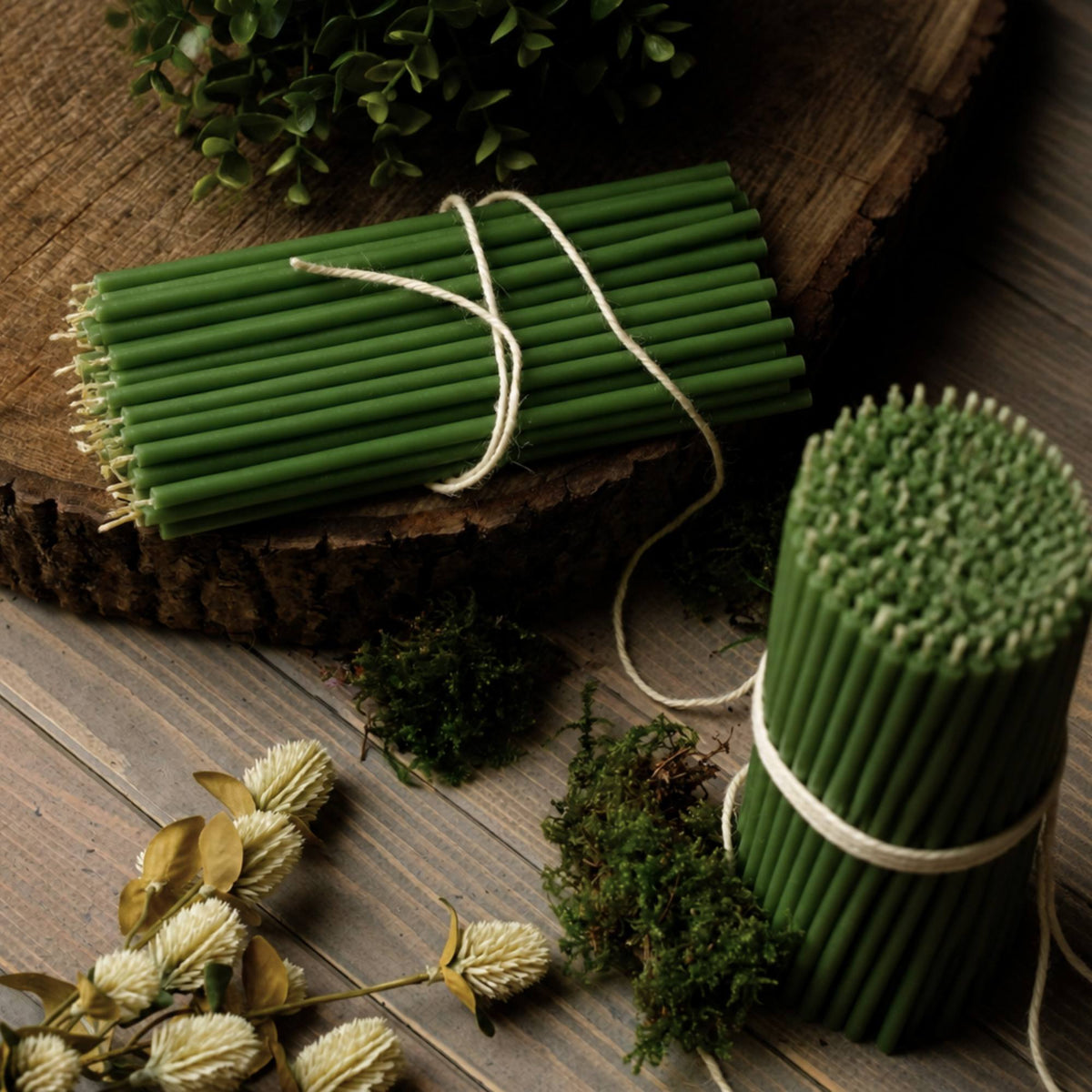 Closterra thin green beeswax taper candles, on a wood slice