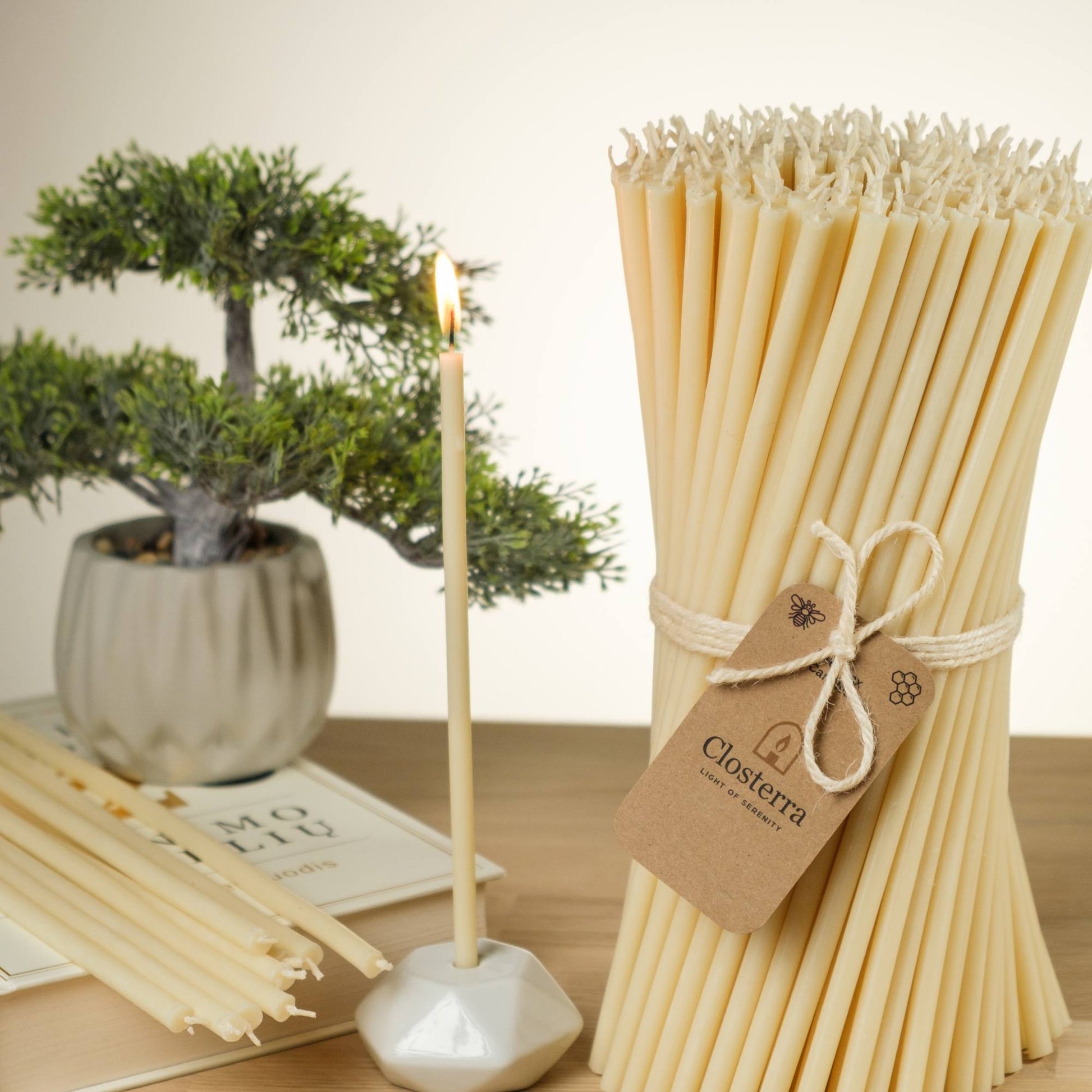 Closterra thin white beeswax taper candles, lit in a candle holder