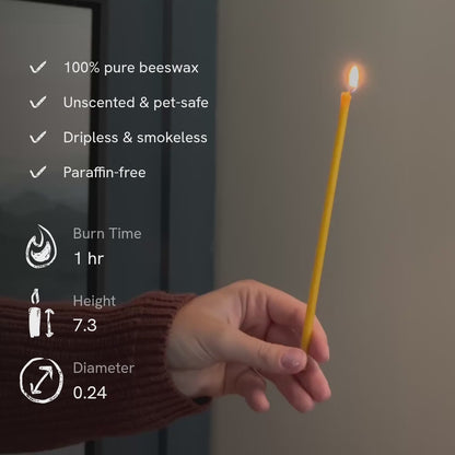 pure-beeswax-church-taper-candles-7-3in.mp4