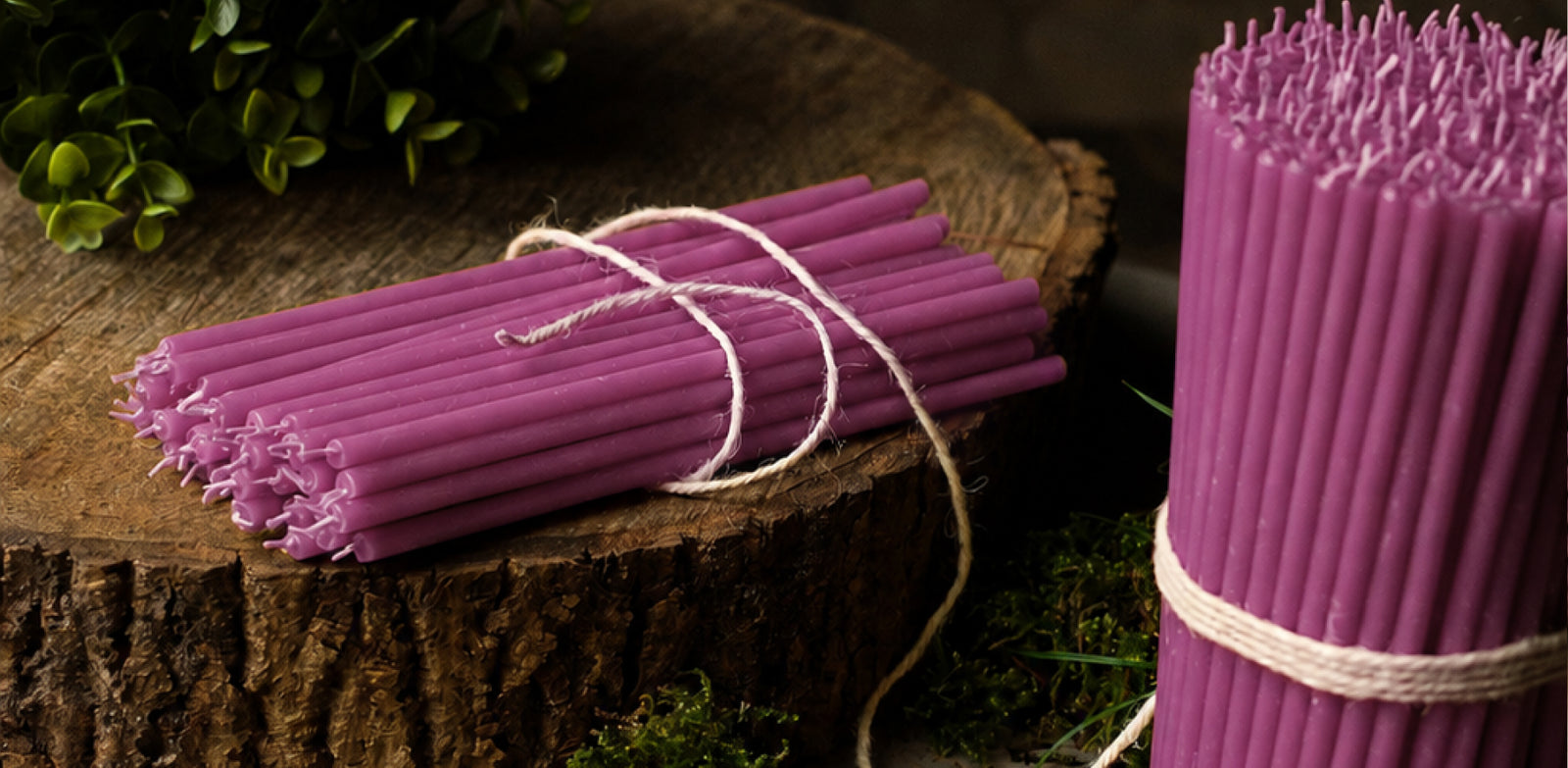Purple beeswax taper candles by Closterra