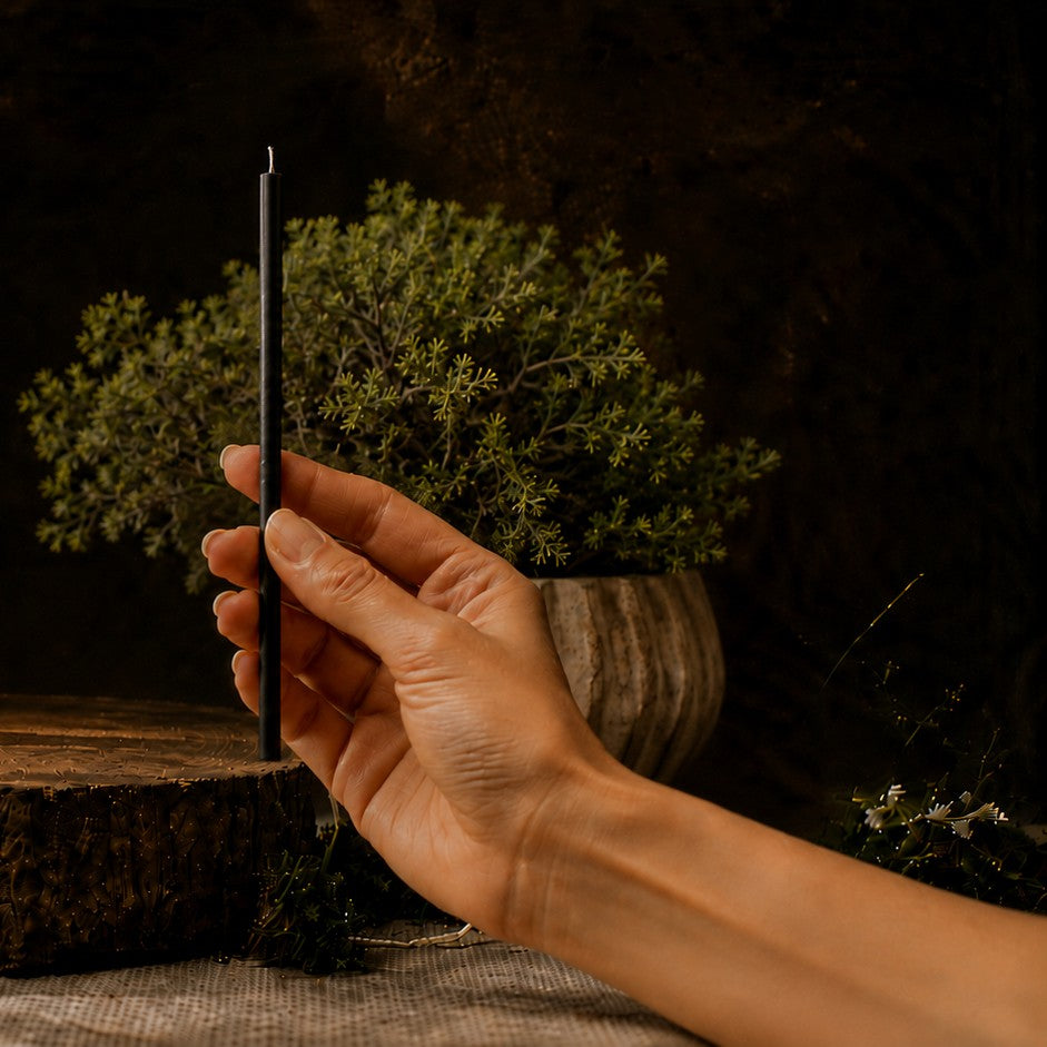 Black thin beeswax taper candle held in hand, 6.5 inch, Closterra