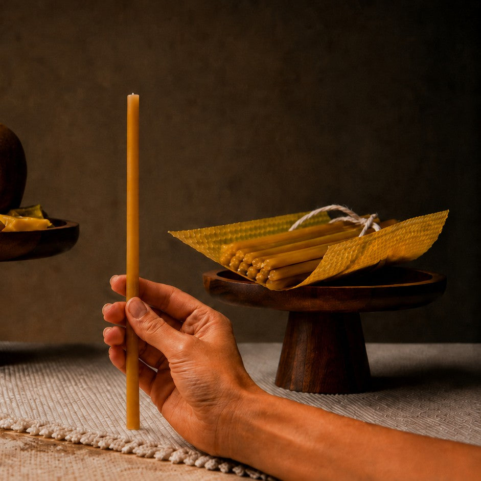 Natural thin beeswax taper candle held in hand, 10.4 inch, Closterra