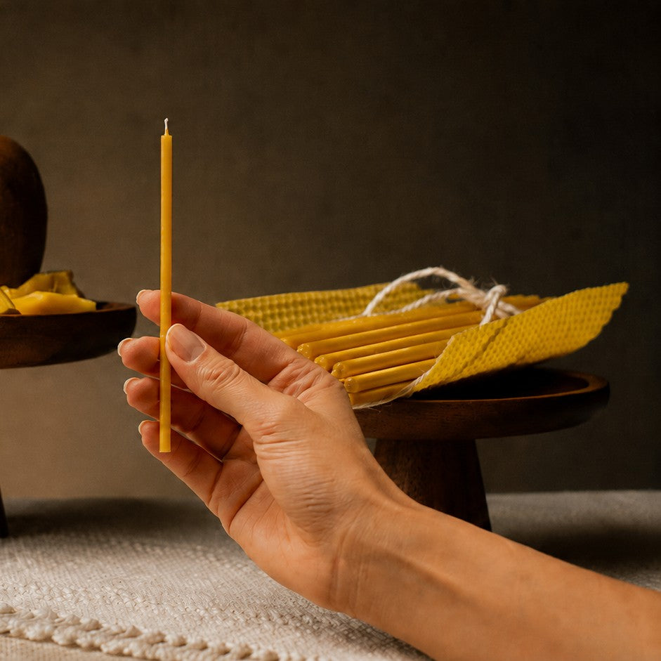Natural thin beeswax taper candle held in hand, 6.3 inch, Closterra