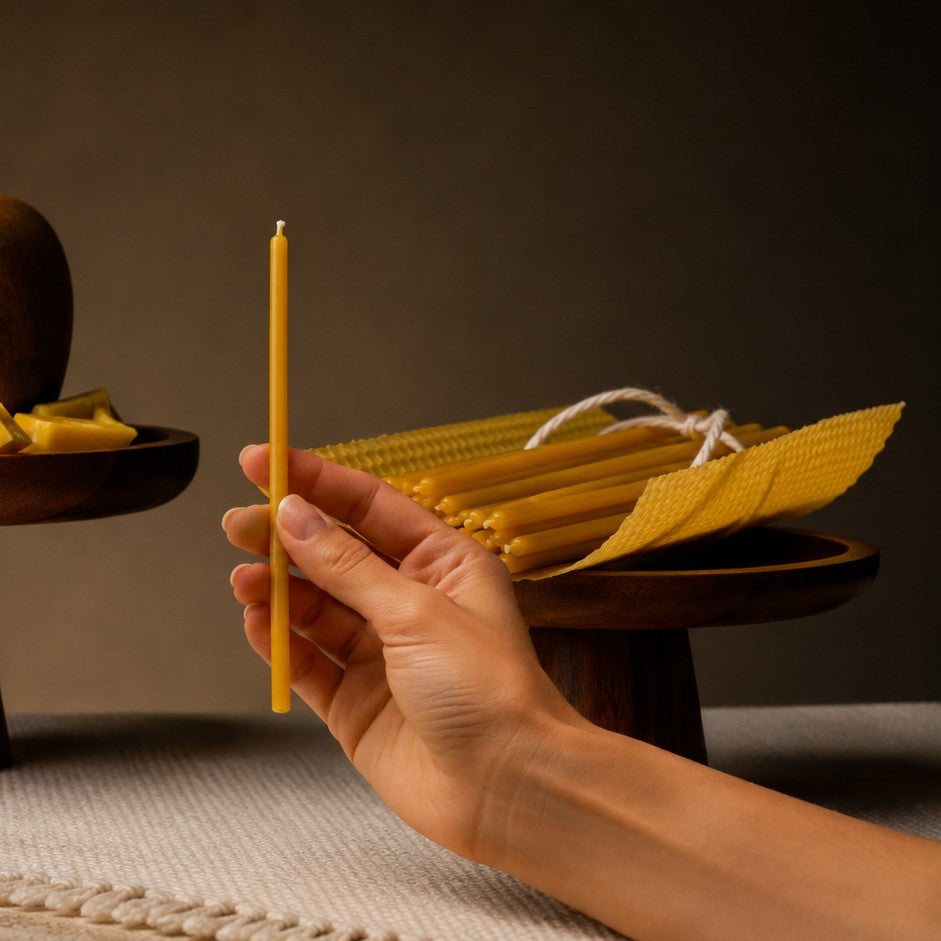 Natural thin beeswax taper candle held in hand, 6.5 inch, Closterra