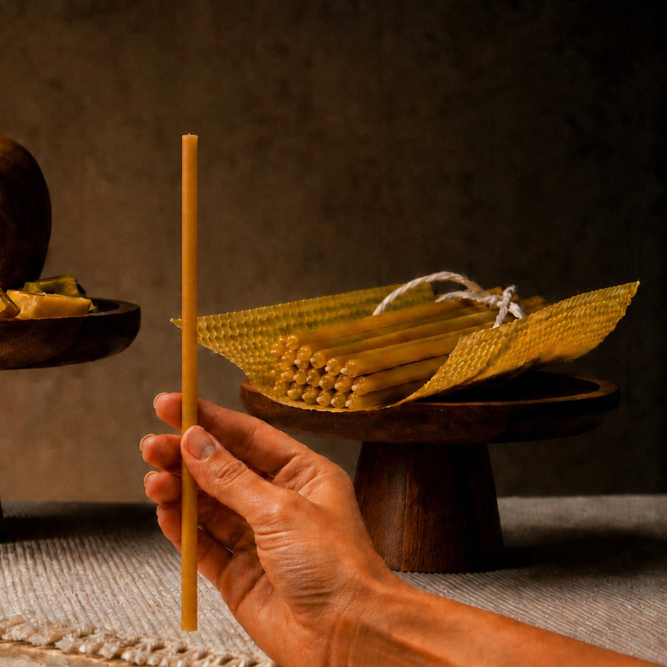 Natural thin beeswax taper candle held in hand, 8 inch, Closterra