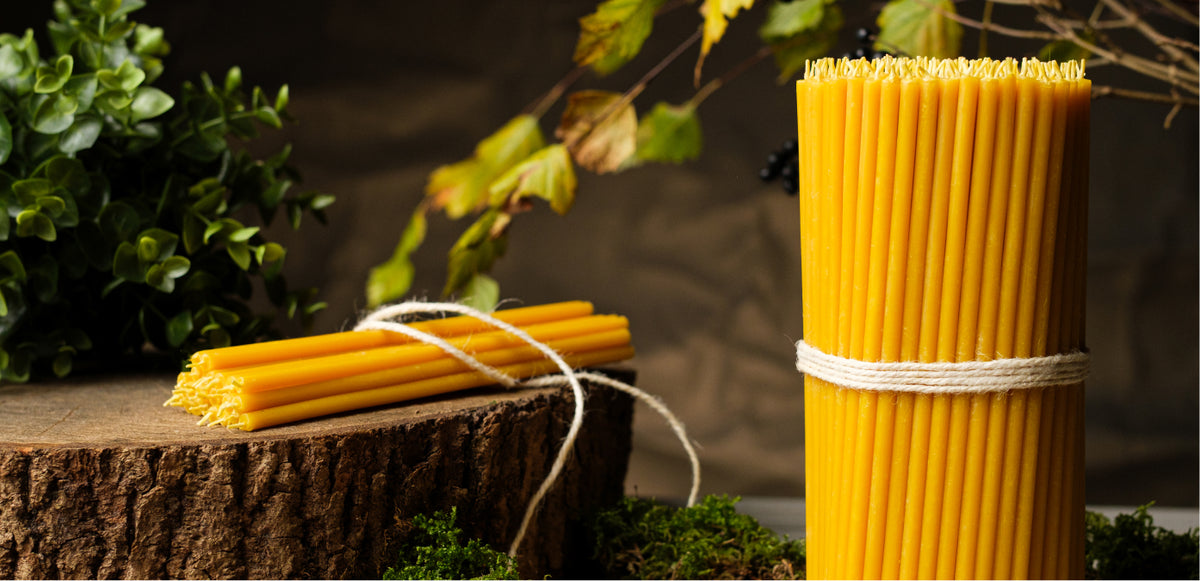Natural yellow pure beeswax taper candles by Closterra
